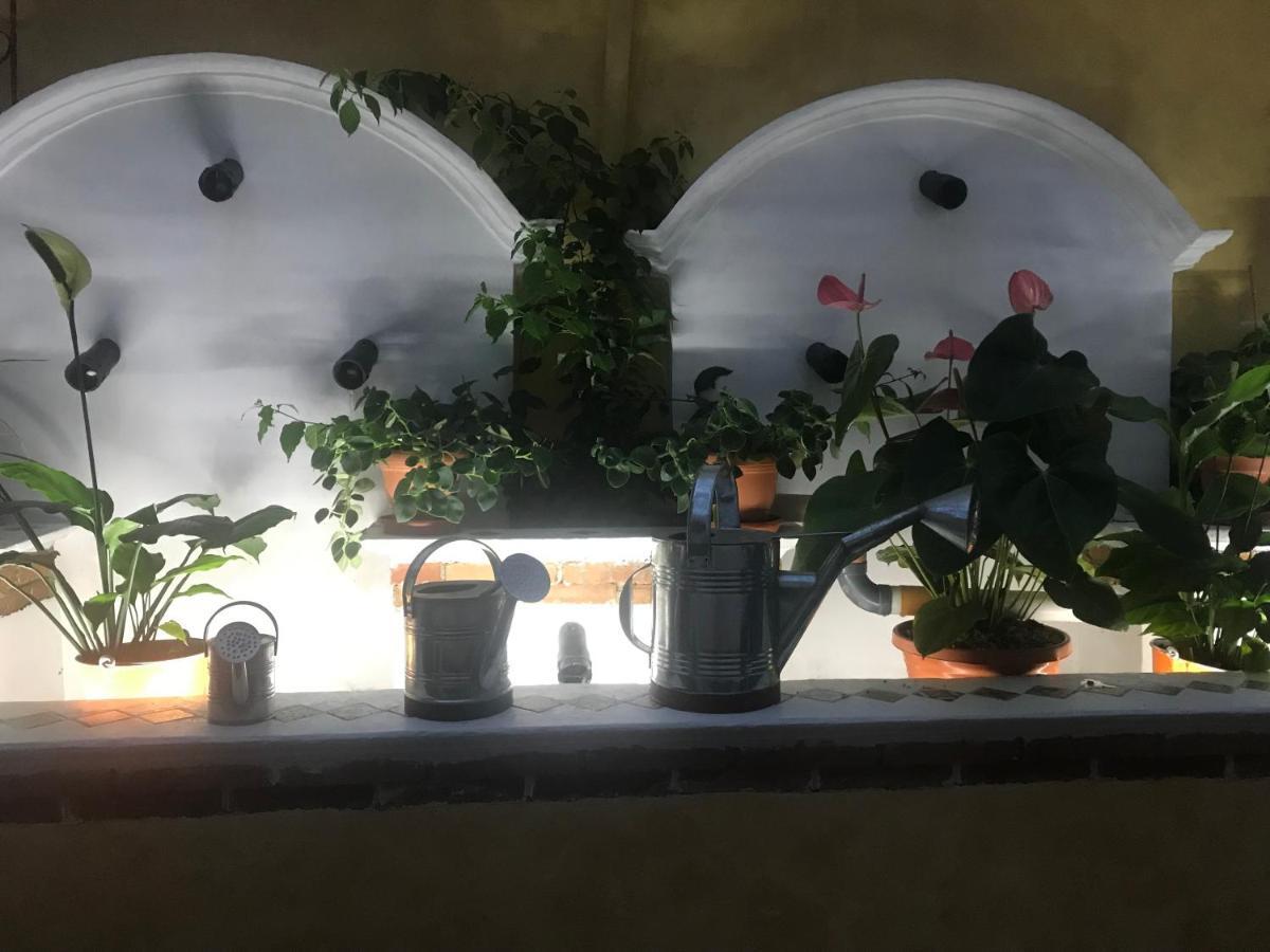 Hotel Boutique Casa Jose Cobán Zewnętrze zdjęcie